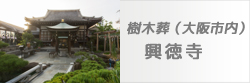 樹木葬「興徳寺」（大阪市内）